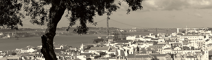 Copyright © Wolfgang Bleier, Austria Lisbon